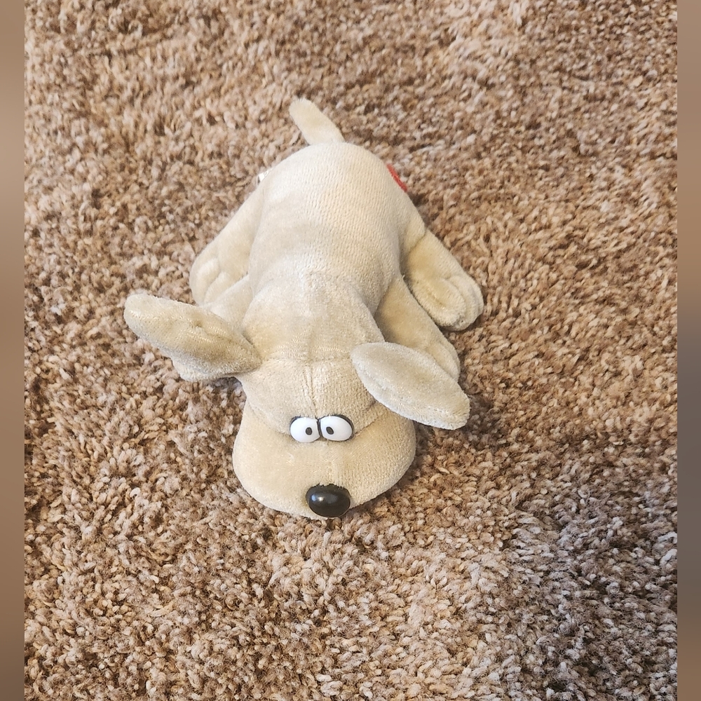 Kennel cud puppy